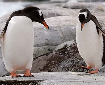 LNX200 - fundamentals of linux security